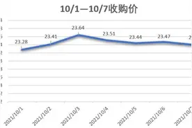 海南槟榔生果价格周报：价格目前较稳定（2021.10.1-2021.10.7）图片