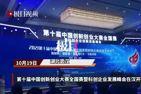 第十届中国创新创业大赛全国赛在汉开幕，湖北科创“新物种”企业榜单首发图片