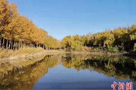 「母亲河畔的中国」黄河穿沙而入 内蒙古筑起“保卫黄河”绿色屏障图片