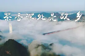 “故乡的茶”主题曲：《茶香深处是故乡》图片