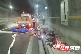 超快！隧道突发火情，路管员徒手“运火”20分钟成功处置图片