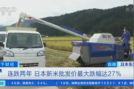 全球多地物价上涨，日本大米价格不涨反跌，新米批发价最大跌幅达27%图片