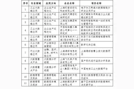 今年大数据产业发展试点示范项目公布，上海11个项目入选图片