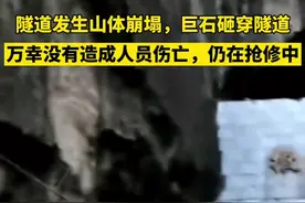 云南盐津一隧道发生山体崩塌，巨石砸穿隧道口，仍在抢修图片