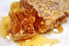 关于蜂蜜的相关事实 你了解多少？图片