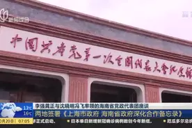 李强龚正与沈晓明冯飞率领的海南省党政代表团座谈：两地签署《上海市政府 海南省政府深化合作备忘录》视频封面