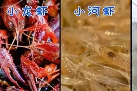这些虾最好别买！吃虾前必看的4个真相图片
