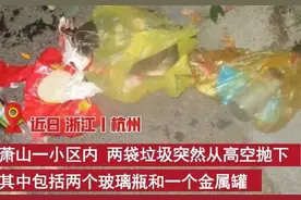 险些酿成大祸！女子高空扔下两袋垃圾被刑拘图片