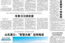山东港口：“智慧大脑”这样炼成图片