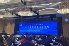 抱团合作、共谋发展！第二届长三角商协会资源对接会在嘉善举行图片