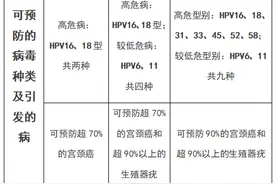 淄博疾控上线四价、九价HPV疫苗预约系统！预约流程看这里图片