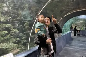 魔鬼鱼、水豚、鲨鱼……从西湖边到湘湖边，杭州海底世界近万尾动物大搬家怎么搬图片