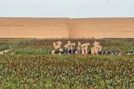 为了“只有河南·戏剧幻城”去一次郑州，值得图片