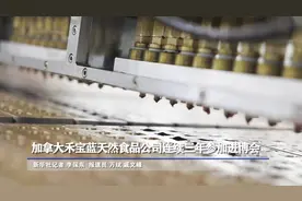 加拿大禾宝蓝天然食品公司连续三年参加进博会视频封面