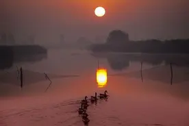 一组图带你领略黄河三角洲生态之美图片