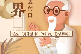 世界传统医药日｜这些“秀外慧中”的中药，你认识吗？图片