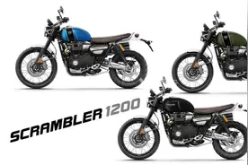 你的复古车能越野吗？凯旋Scrambler 1200XC/XE正式上市图片