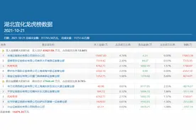 作手新一进场扫货、方新侠落袋为安，8个月涨9倍的湖北宜化还能新高吗？图片