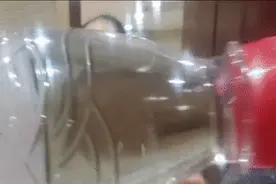 惊呆！未开封水中有蛆虫？知名品牌紧急回应图片