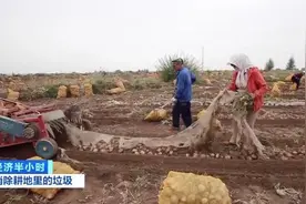 “致富膜”变白色污染，咋消除？近百亿元大市场爆发图片