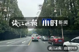 太火了，车位都找不到，桂花树下喝茶吃饭，杭州这个赏桂网红地爆火图片