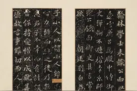 苏轼珍罕碑刻传世孤本首度高清全公布！上图珍本碑帖《翰墨瑰宝》重磅上新图片
