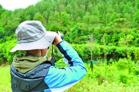 广西大瑶山观鸟赛：大瑶山丰富的鸟类种群让外地队员惊叹图片