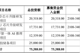 IPO雷达 | 大量核心技术靠武汉新芯授权，“蜉蝣”恒烁股份能撼动存储芯片业的“大树”吗？图片