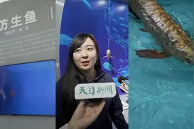 Hi科技 会侦查、深潜、表演……这条仿生鱼何以从北大游进南极？图片