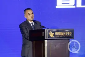 四川省发改委刘守辉：双城经济圈建设的战略牵引力、政策推动力和发展支撑力将进一步凸显图片