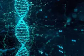 「Cell重磅」DNA修复的新研究促进了CRISPR-Cas9基因编辑技术，以及基因编辑大牛刘如谦团队开发的先导编辑技术的发展图片