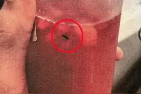 “有虫，赔钱！”那群敲诈杭州多家奶茶店火遍全网的年轻人，判了图片