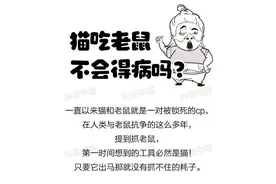 为什么猫总追着老鼠不放？终于知道答案了图片