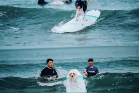 一阵寒潮，把全中国的恋夏一族都吹到了这里图片