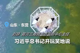 黄河三角洲：为鸟儿打造“公租房”一样安稳的家视频封面