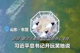 黄河三角洲：为鸟儿打造“公租房”一样安稳的家视频封面