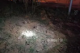 滨江东路小树林里，小情侣深夜发现：一伙神秘人挖坑埋东西……图片