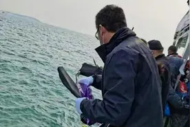 潍坊举行海葬活动，22名逝者魂归大海视频封面