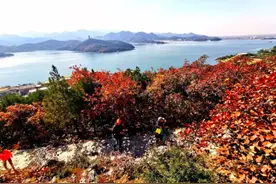平谷金海湖开启红叶观赏季，7条特色路线览秋色图片