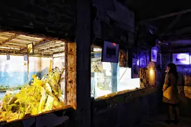 废墟上的艺术展，你见过没？周末到广州越秀公园体验废墟之美图片