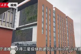 宁波这座“绿色建筑”连外国专家都点赞图片