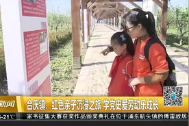 合庆镇：红色亲子沉浸之旅 学党史爱劳动乐成长视频封面