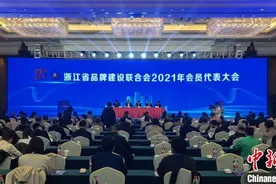 浙江已发布“浙江制造”标准600项“品”质驱动发展图片