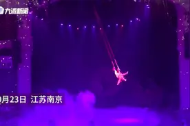 南京一野生动物园杂技演员意外高空坠落，园方：头次发生，受伤演员已送医救治图片