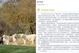 北京野生动物园：游客非法闯入与11只白虎对峙，不断挑衅视频封面