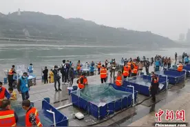 30万尾长江上游珍稀特有鱼类鱼苗将陆续放流长江图片
