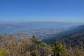 徒步原始森林，遭遇毒蛇猛兽，科考队如何摸清苍山里的动植物图片
