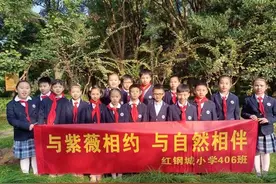 这棵树为什么怕痒？小学生写下千余篇笔记观察大自然图片