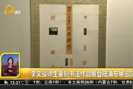 李文骏师生篆刻书法作品展登陆浦东展览馆视频封面