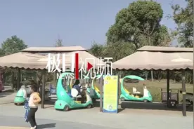 木枝刺入5岁儿童臀部，家长质疑亲子小镇监管不力，律师：建议调监控划分责任图片